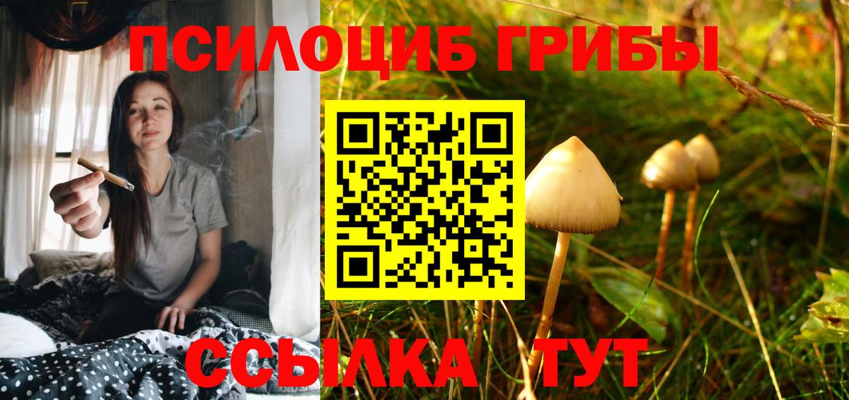 Саяногорск  Псилоцибиновые грибы мицелий  Вход с VPN  Галлюциногенные грибы Magic Shrooms 